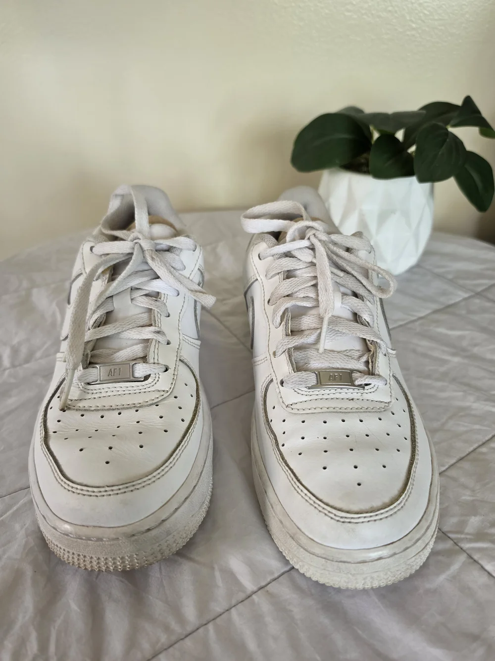 Nike low top